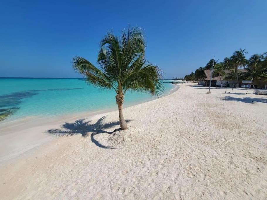 Apartament Casa Salina Isla Mujeres Zewnętrze zdjęcie